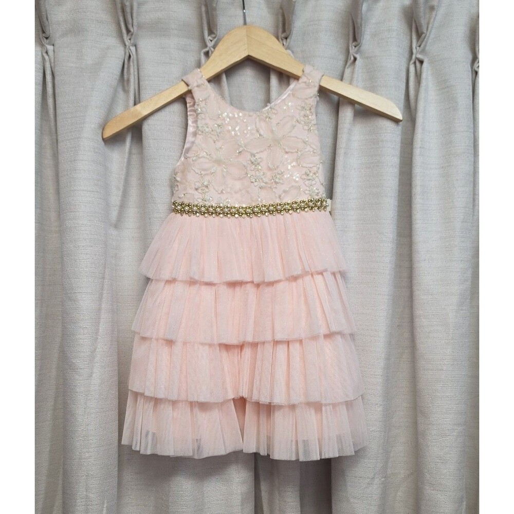 NWT Pink Tulle Gem waist embroidered and sequenced pink 3T Little Girl Dress